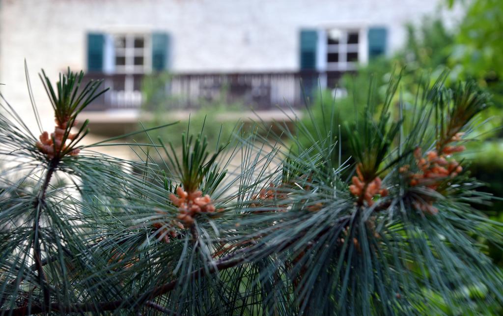 Apartment Im Garten 9 가르가쪼네 외부 사진