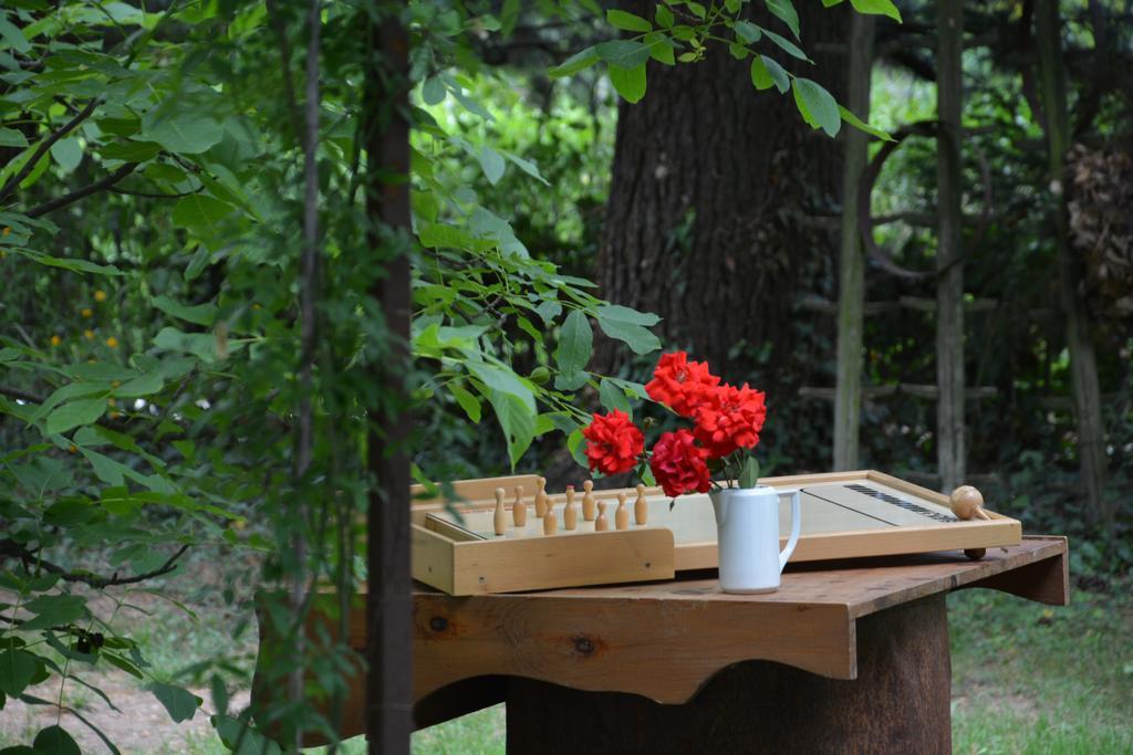 Apartment Im Garten 9 가르가쪼네 외부 사진