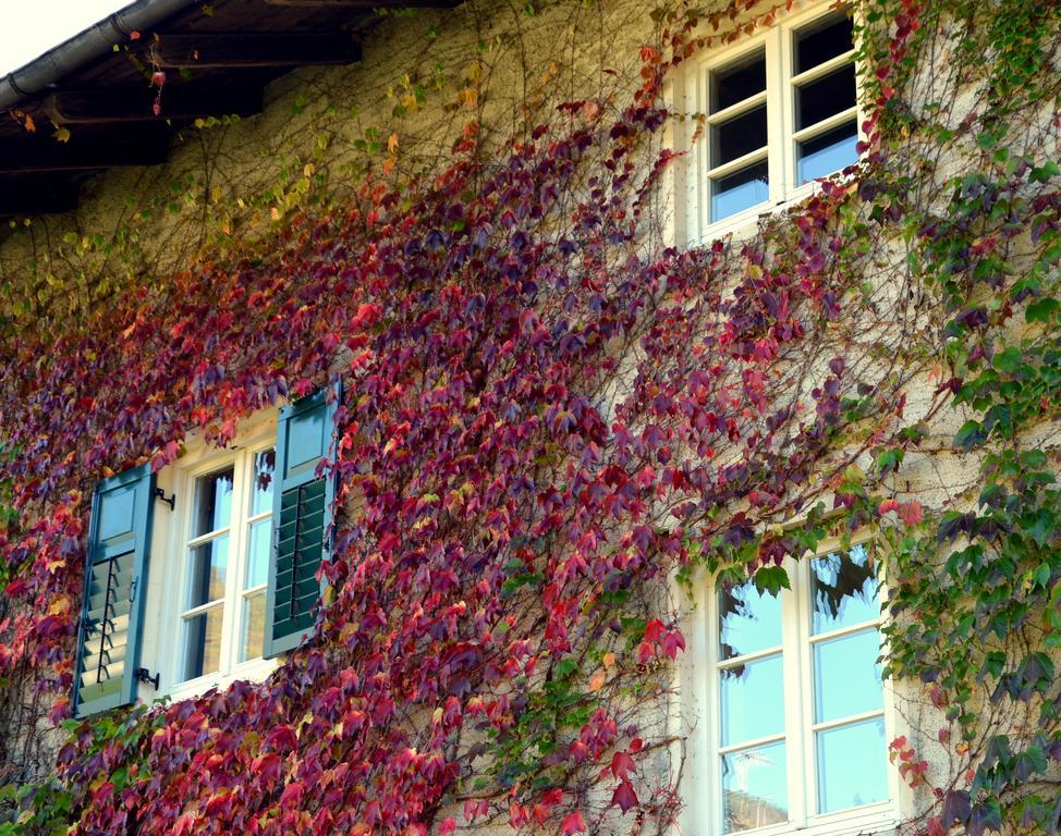 Apartment Im Garten 9 가르가쪼네 외부 사진